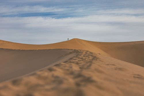 Free A lone person walking across expansive sandy desert dunes under a blue sky. Stock Photo
