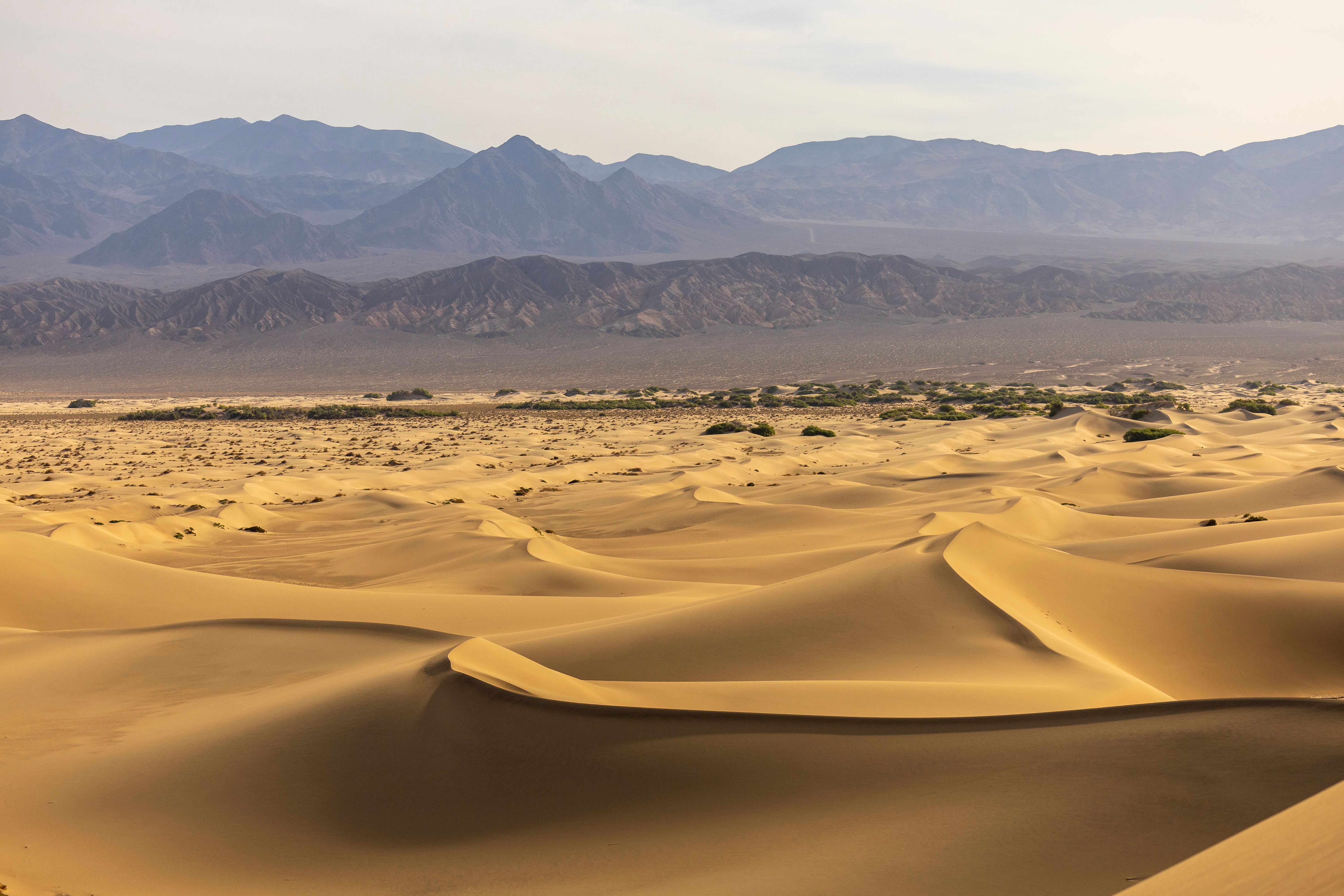 Vast Golden Sand Dunes Under Mountain Range · Free Stock Photo