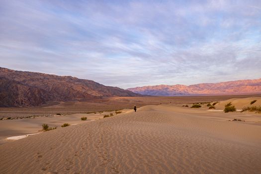 Solo traveler exploring vast desert dunes at sunrise. Captivating and serene scene.