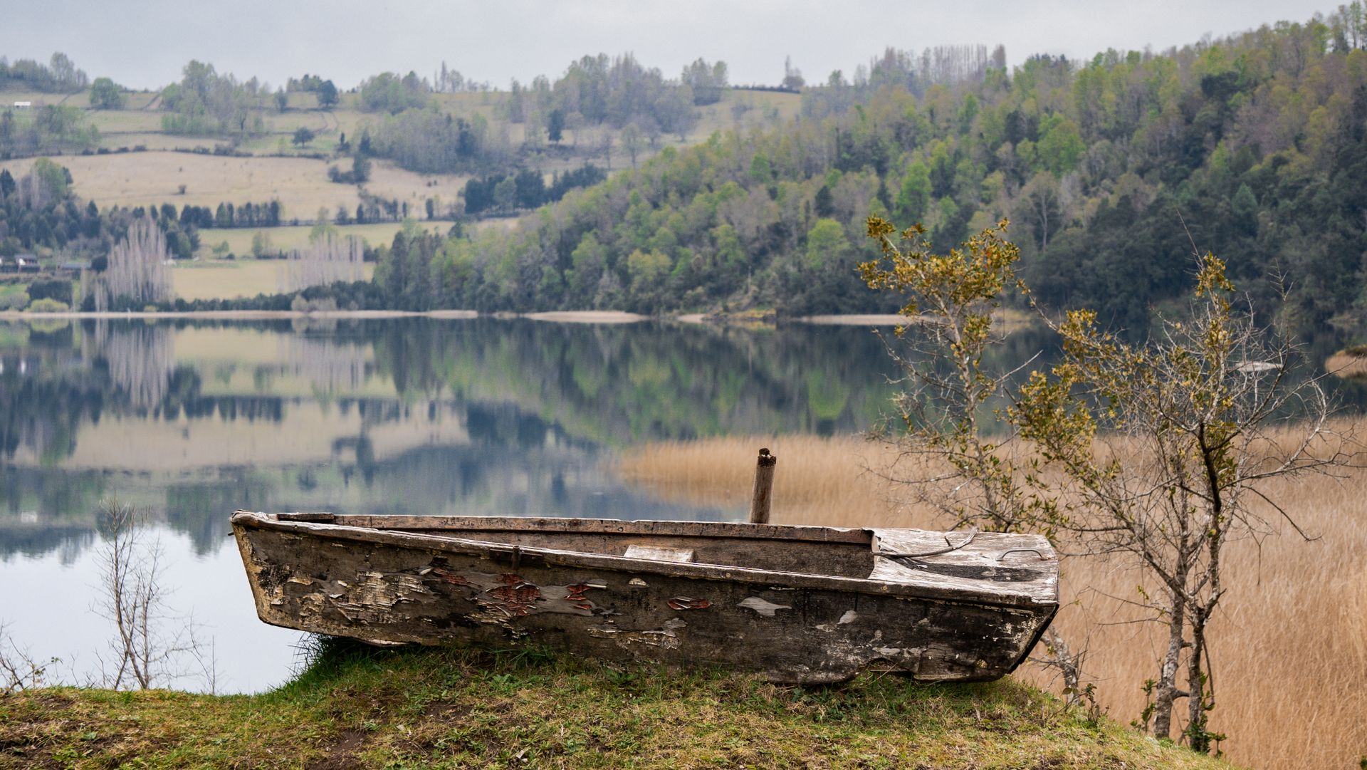 Weathered Boat by Tranquil Chilean Lagoon