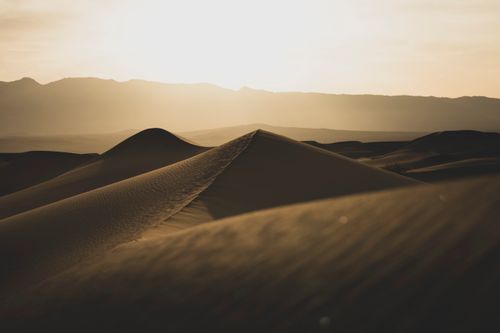 Free Stunning view of sand dunes under a golden sunset. A serene desert landscape. Stock Photo