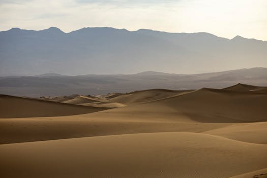 Wide expanse of desert dunes with distant mountain range under soft daylight.