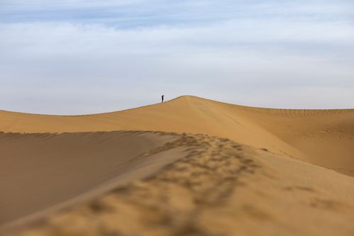 Free A solitary figure stands atop a vast desert sand dune, under a clear sky. Stock Photo