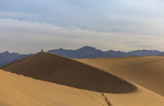 Dramatic view of a lone explorer atop sunlit desert dunes with mountains in the background.
