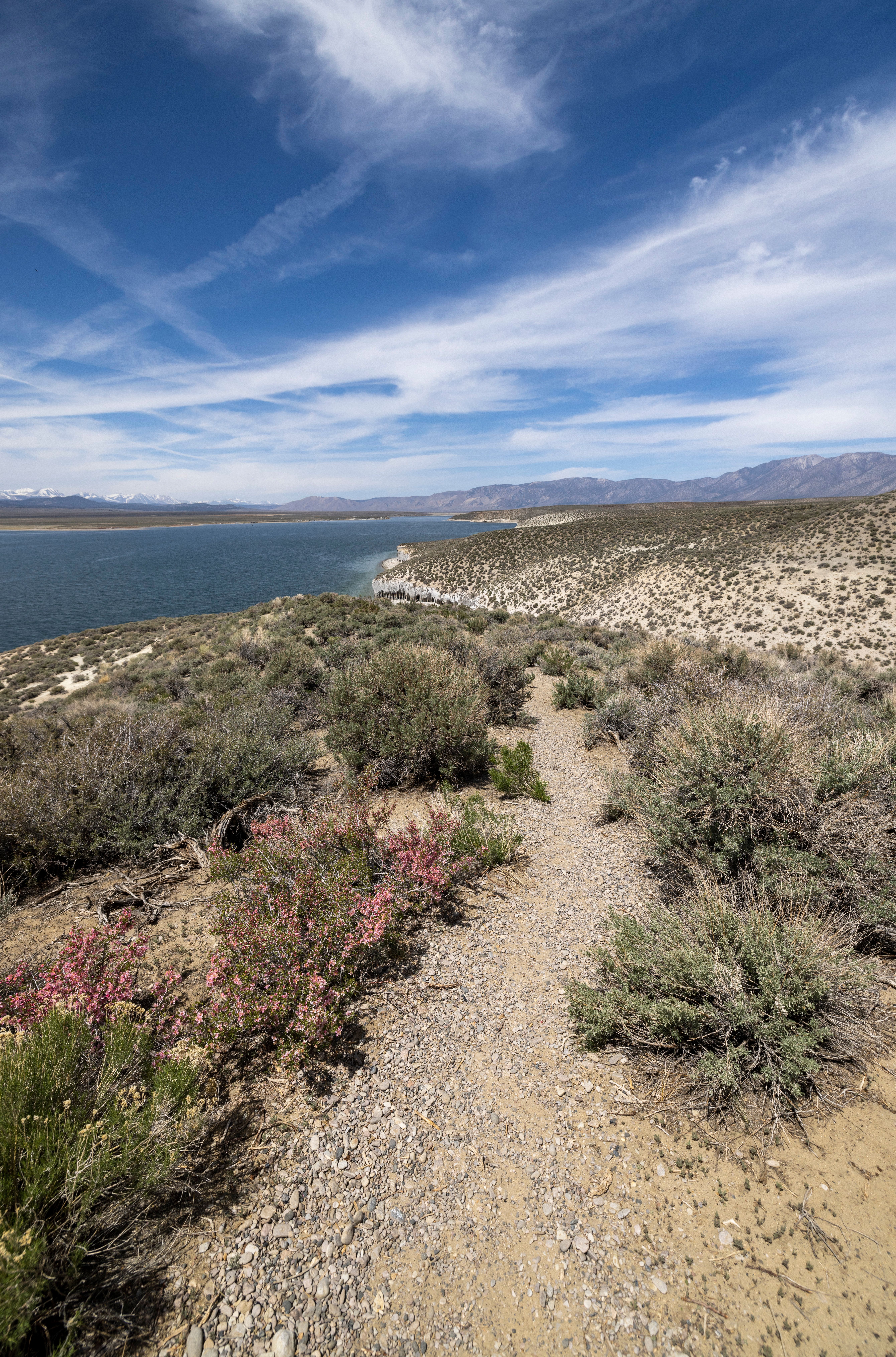 Scenic Mountain Lake Trail under Blue Sky · Free Stock Photo