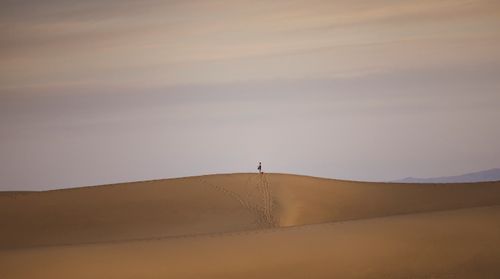Free A lone traveler walks across vast desert dunes under a serene sky. Stock Photo