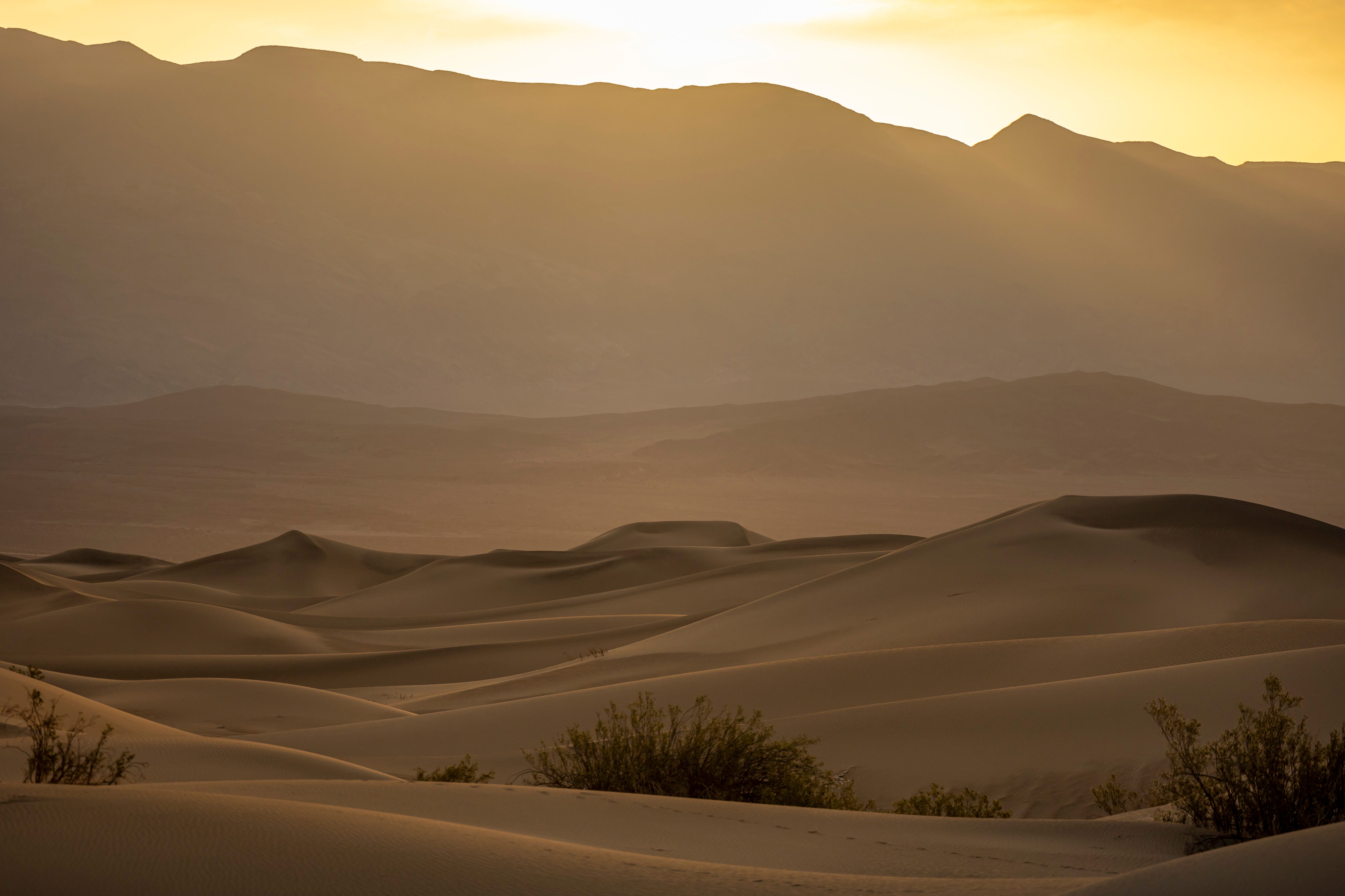 Golden Dunes at Sunrise in Desert Landscape · Free Stock Photo