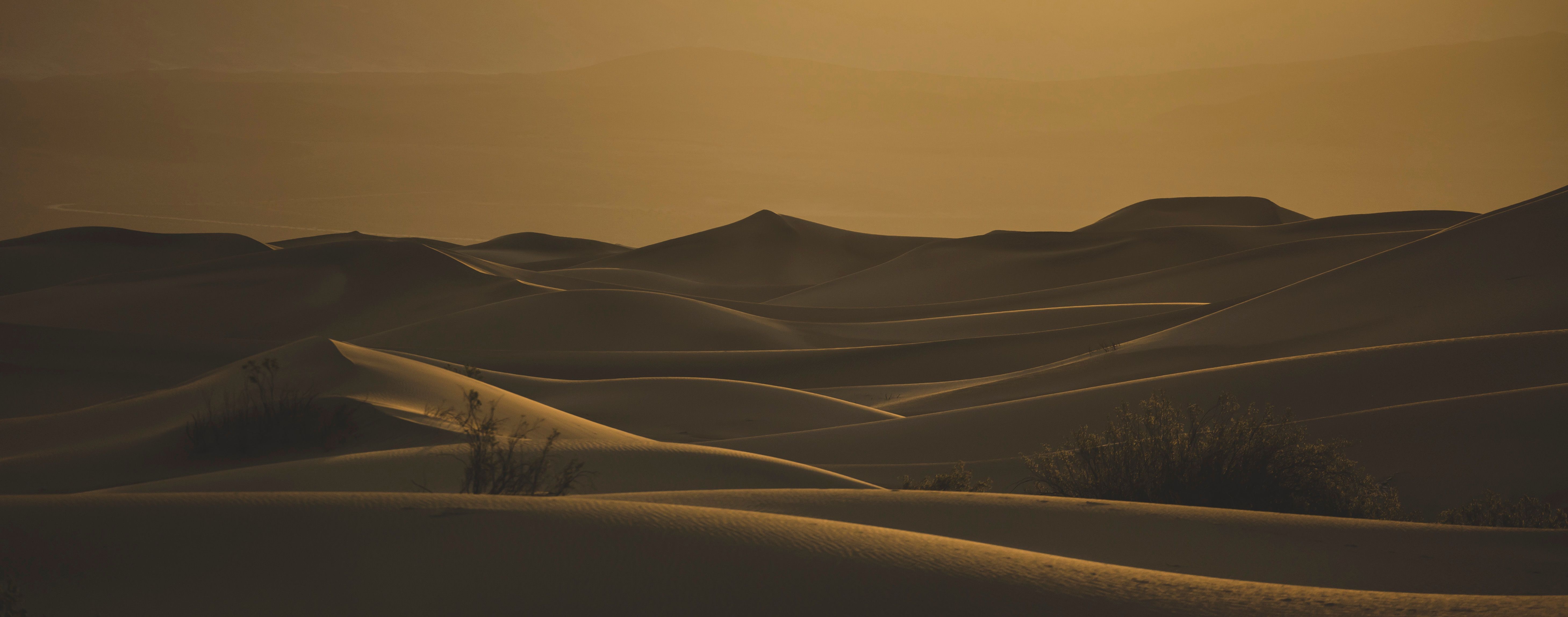 Artwork for Awakening to Wholeness: Trauma, Truth, and the Power of Inquiry with Amara Palmer