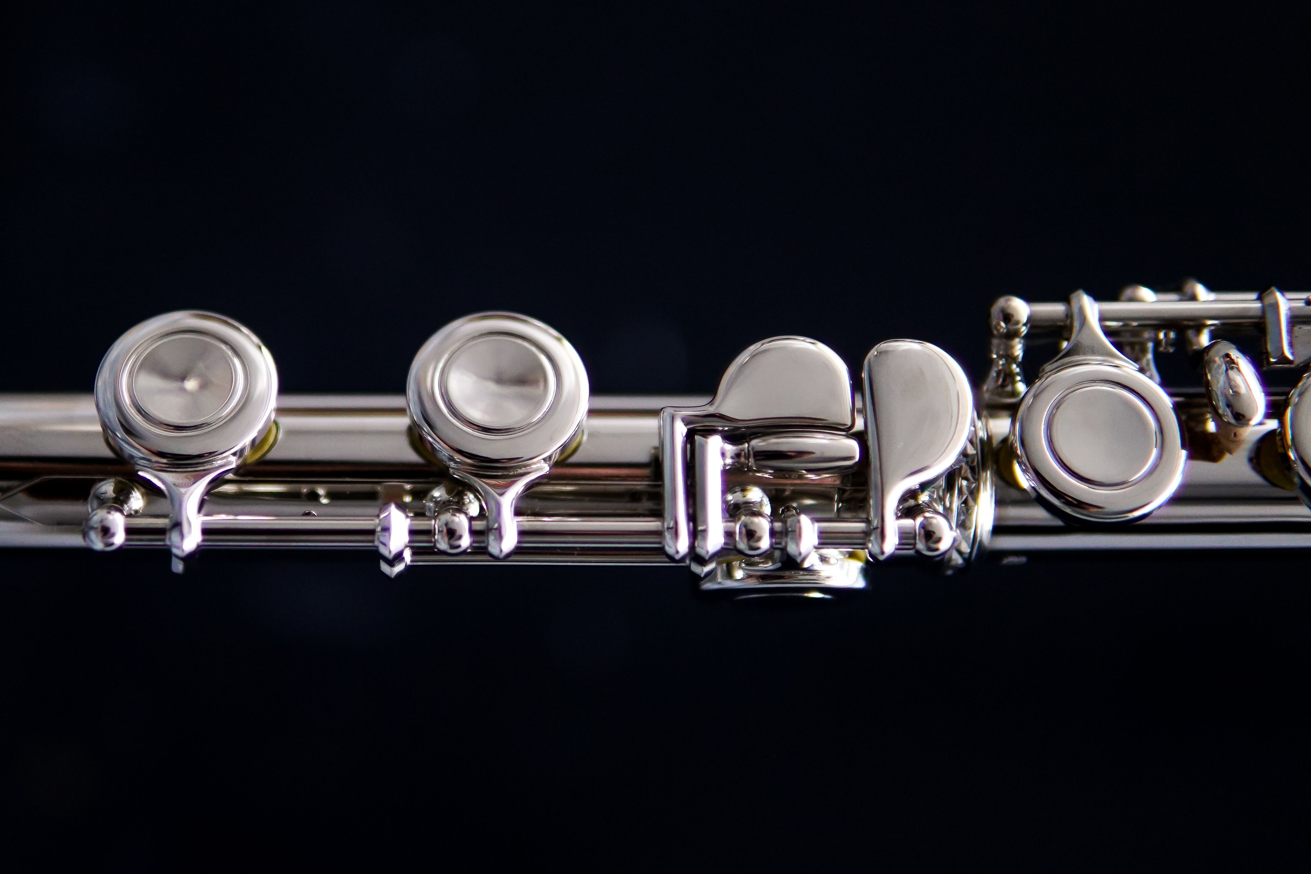 Silver Gold Musical Instrument · Free Stock Photo