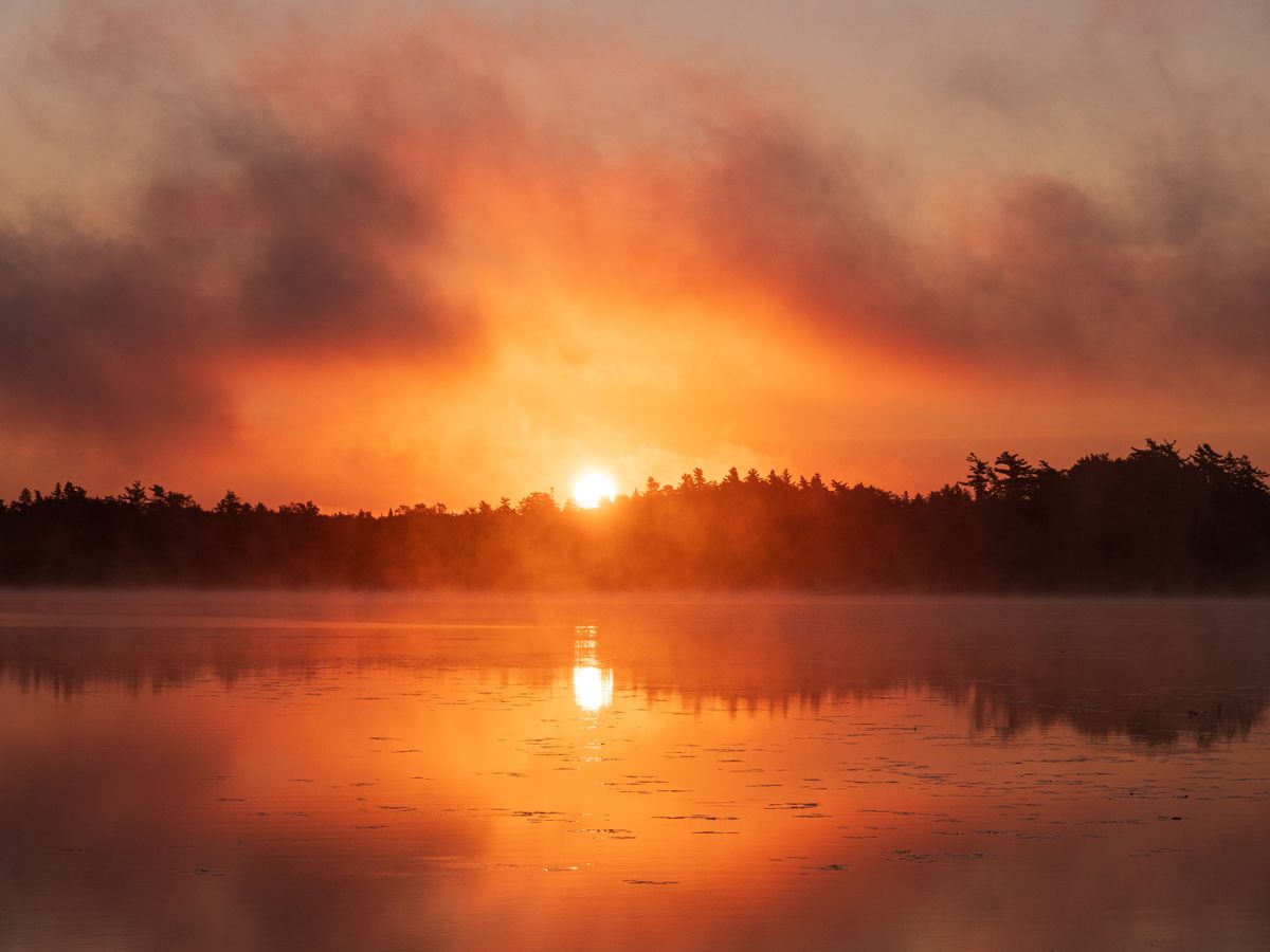 Dramatic orange sunrise reflected in a calm lake with forest silhouette — the spectacular early-morning light conditions on Lake Biwa's surface