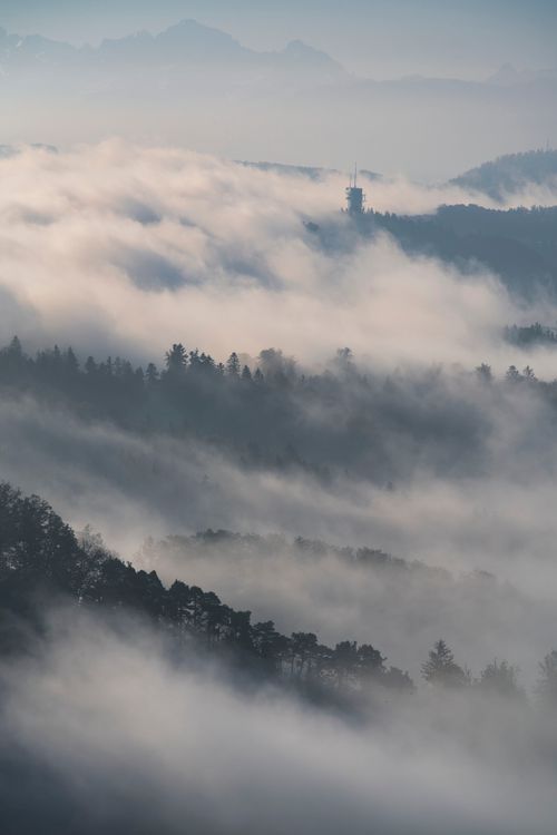 Free A scenic view of mountains shrouded in mist and dense forest, evoking a serene and tranquil atmosphere. Stock Photo