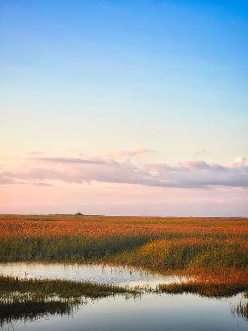 Free Serene image of the Everglades marshland at sunset, highlighting lush grasses and a vibrant sky. Stock Photo