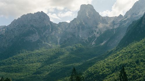 Free A breathtaking view of the Valbonë mountain range with lush green forests. Stock Photo