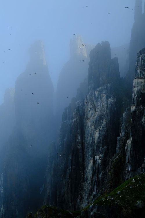 Free Dramatic mist-shrouded cliffs with birds flying by in a serene, atmospheric scene. Stock Photo