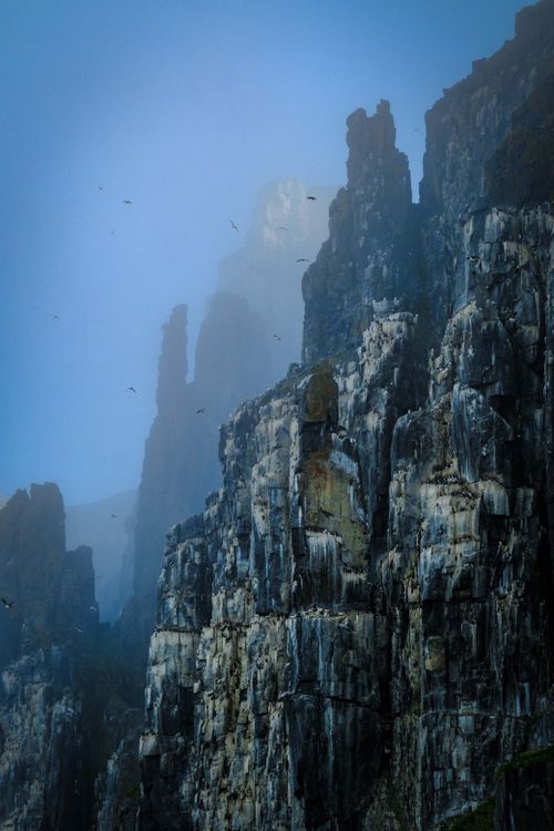 Free Dramatic cliffs shrouded in mist with birds soaring, capturing a remote wilderness feel. Stock Photo