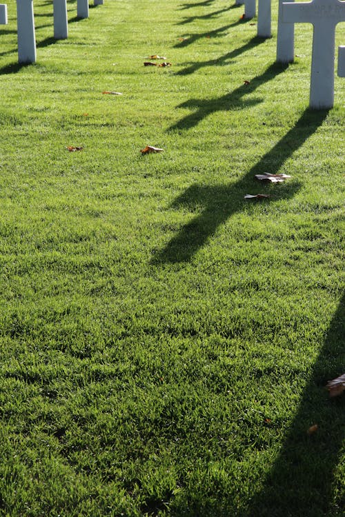 Shadows of Crosses on Green Grass