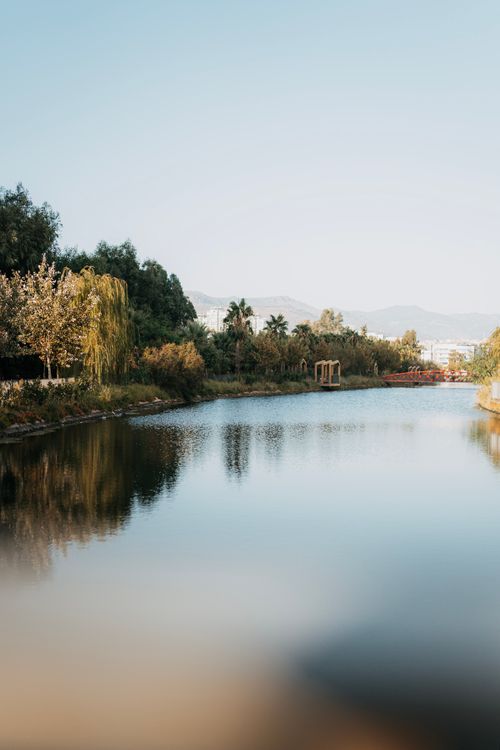 Free A tranquil lake surrounded by lush vegetation under a clear blue sky. Stock Photo