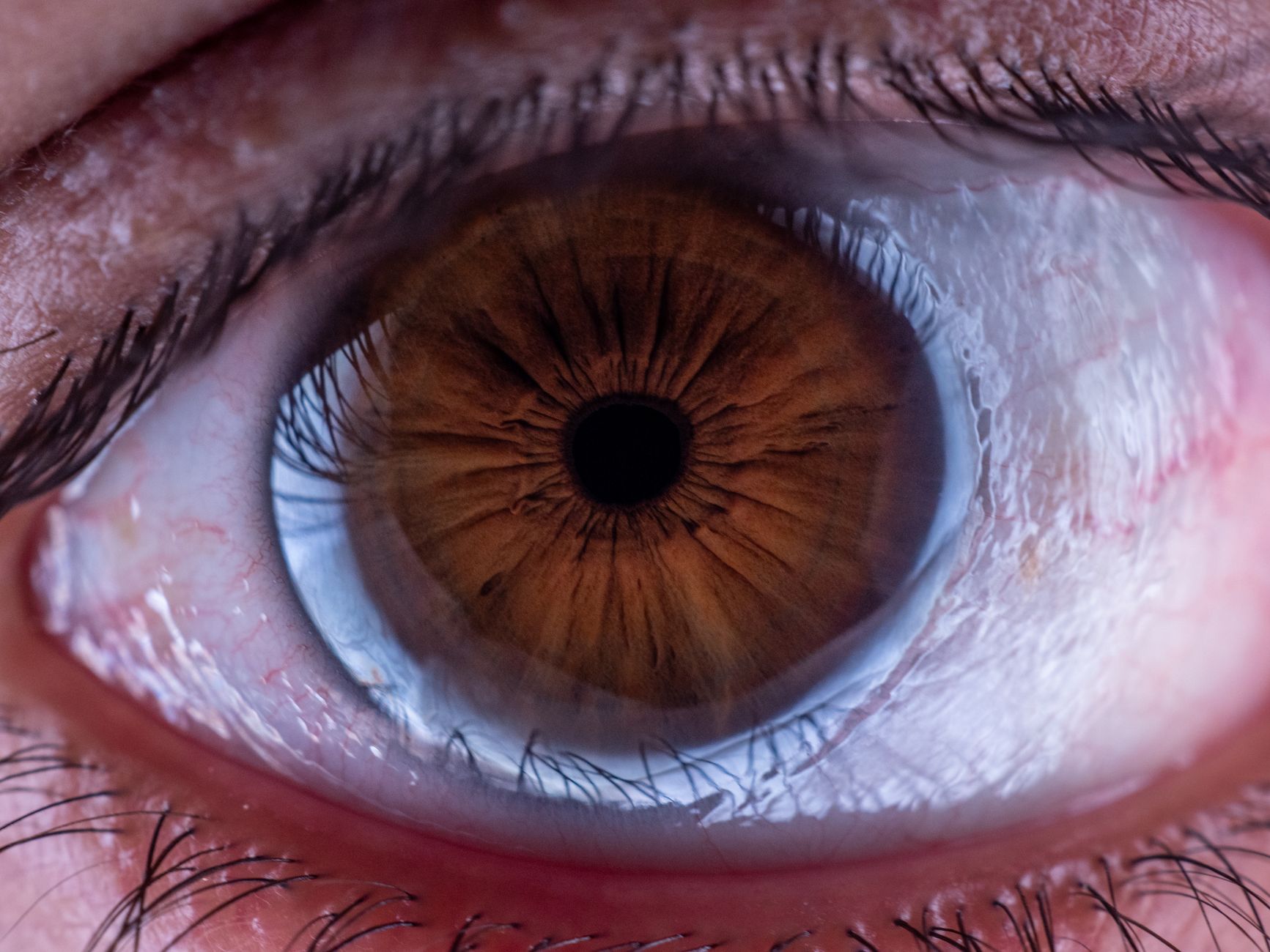 Detailed macro photograph highlighting the intricate details of a human eye, with a focus on the iris and pupil.