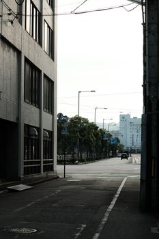 A serene urban scene featuring empty streets and buildings under the gray sky.