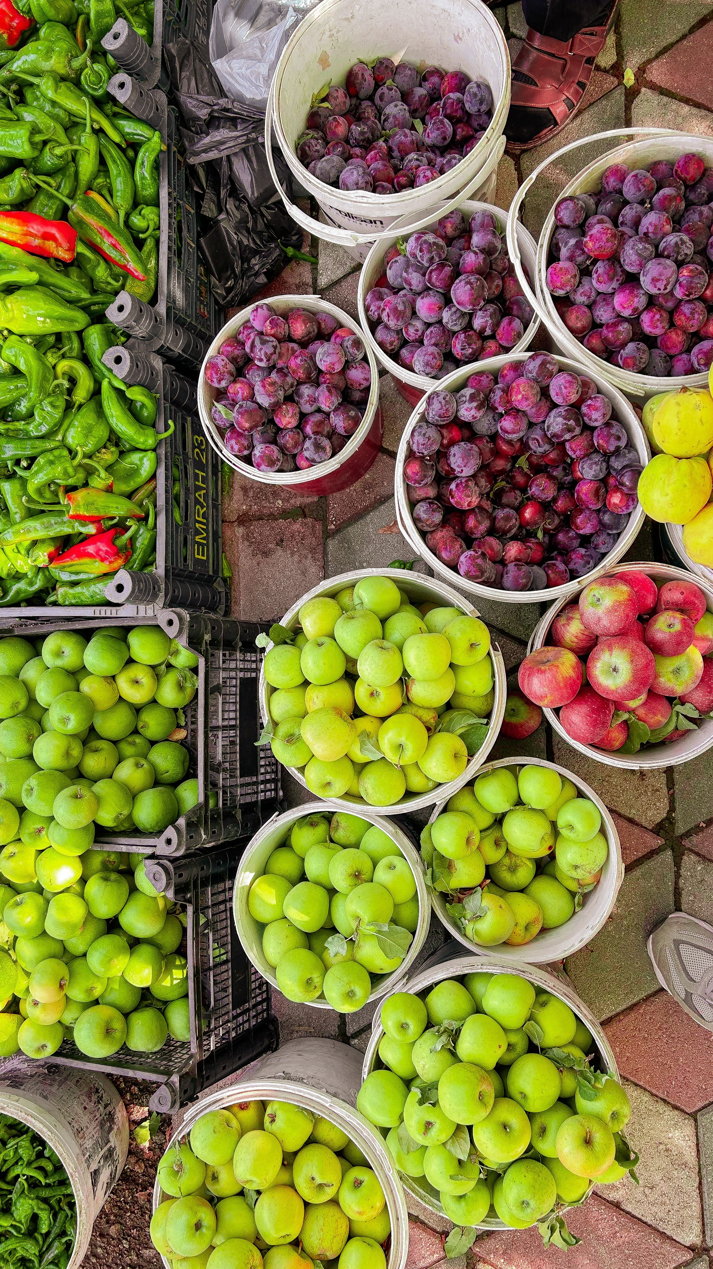 Alimentation consciente et durable 