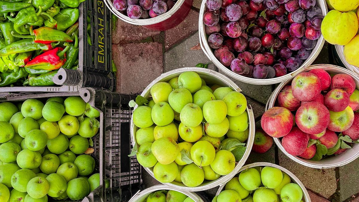 Alimentation consciente et durable