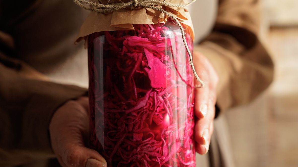 Aliments fermentés pour renforcer limmunité en 2026
