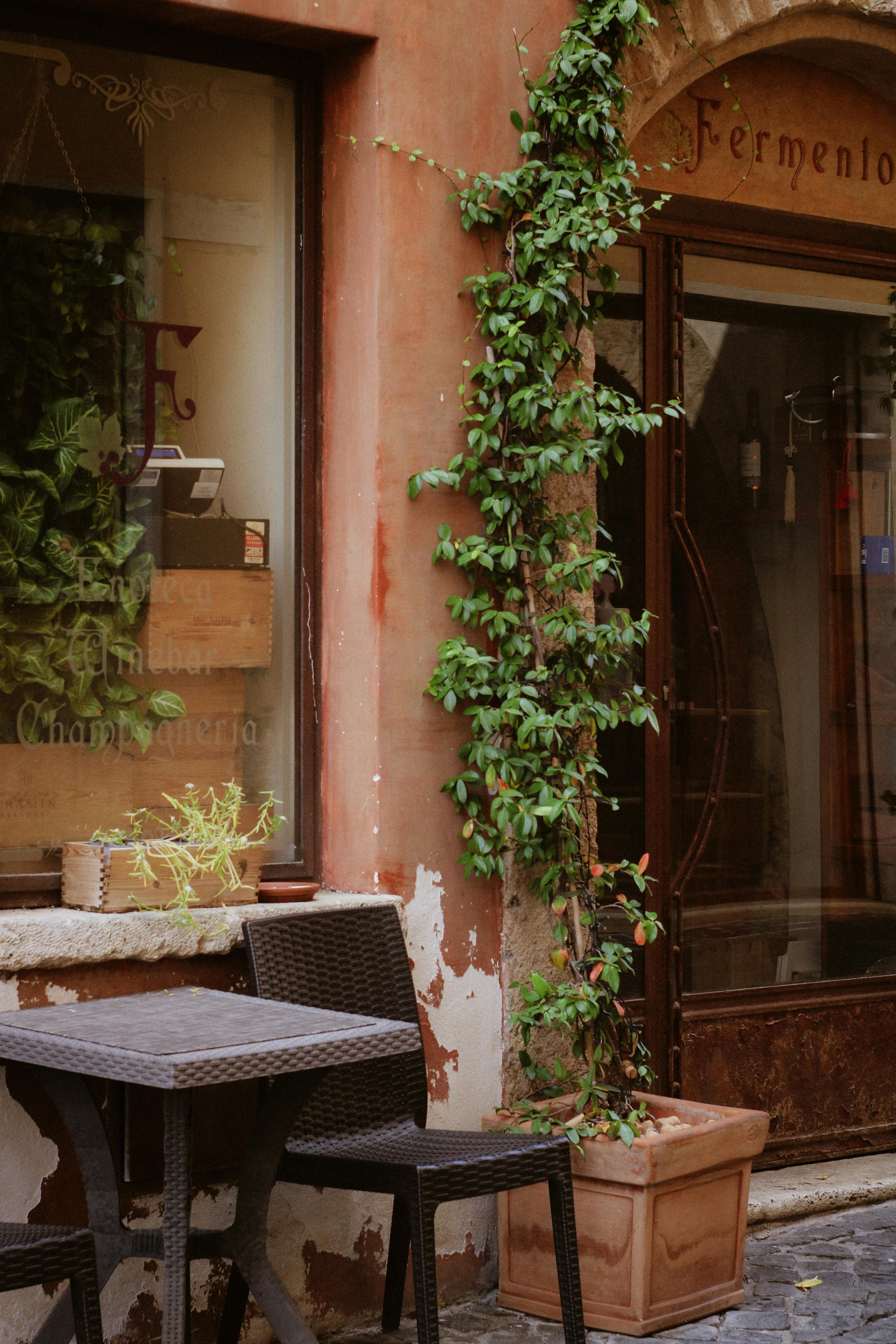 Rustic outdoor cafe setting with ivy-clad wall and cozy rattan furniture enhancing the vintage charm.