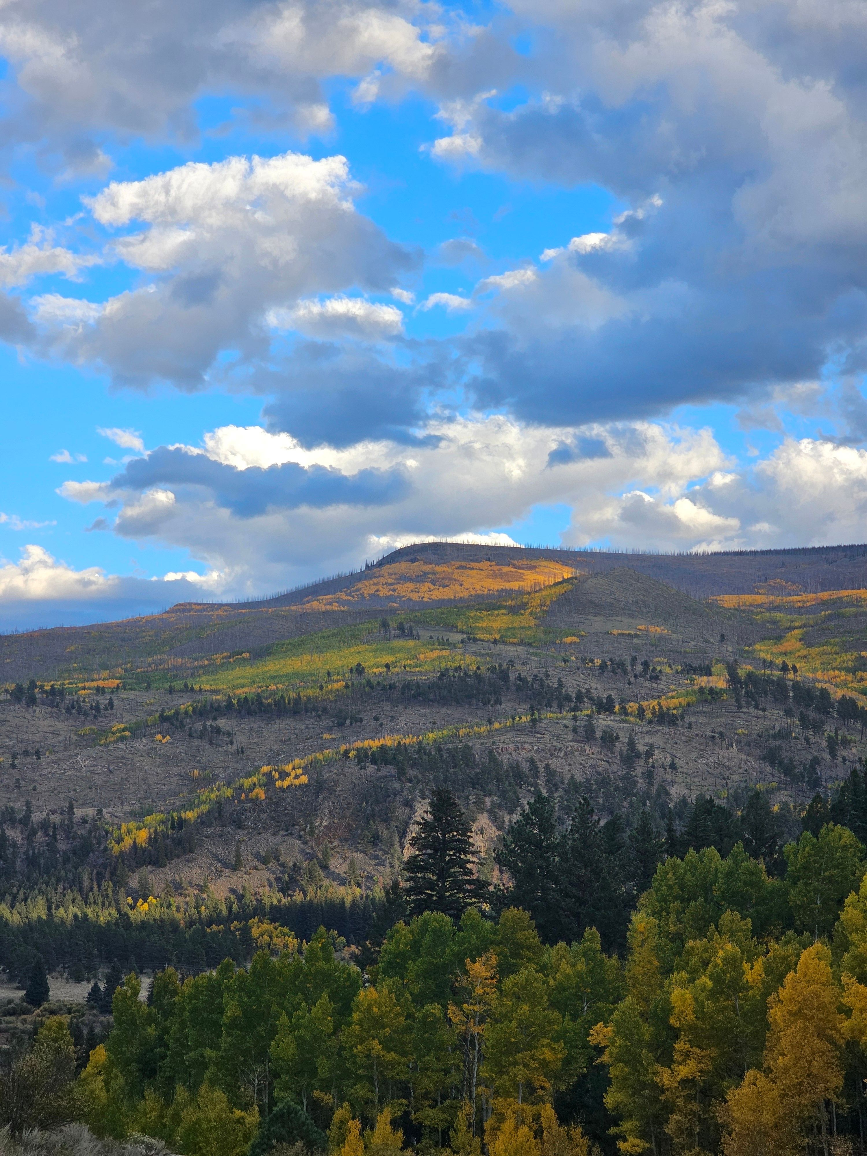 Stunning Autumn Mountain Landscape Under Blue Sky · Free Stock Photo