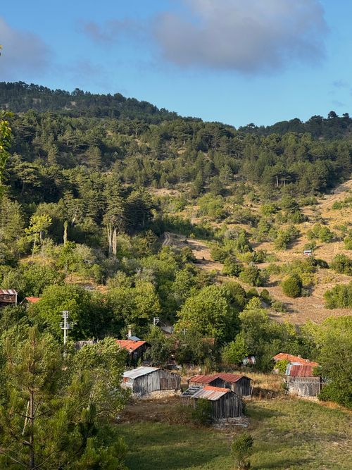 Free Idyllic landscape with rustic cabins nestled in a lush green valley under a clear blue sky. Stock Photo