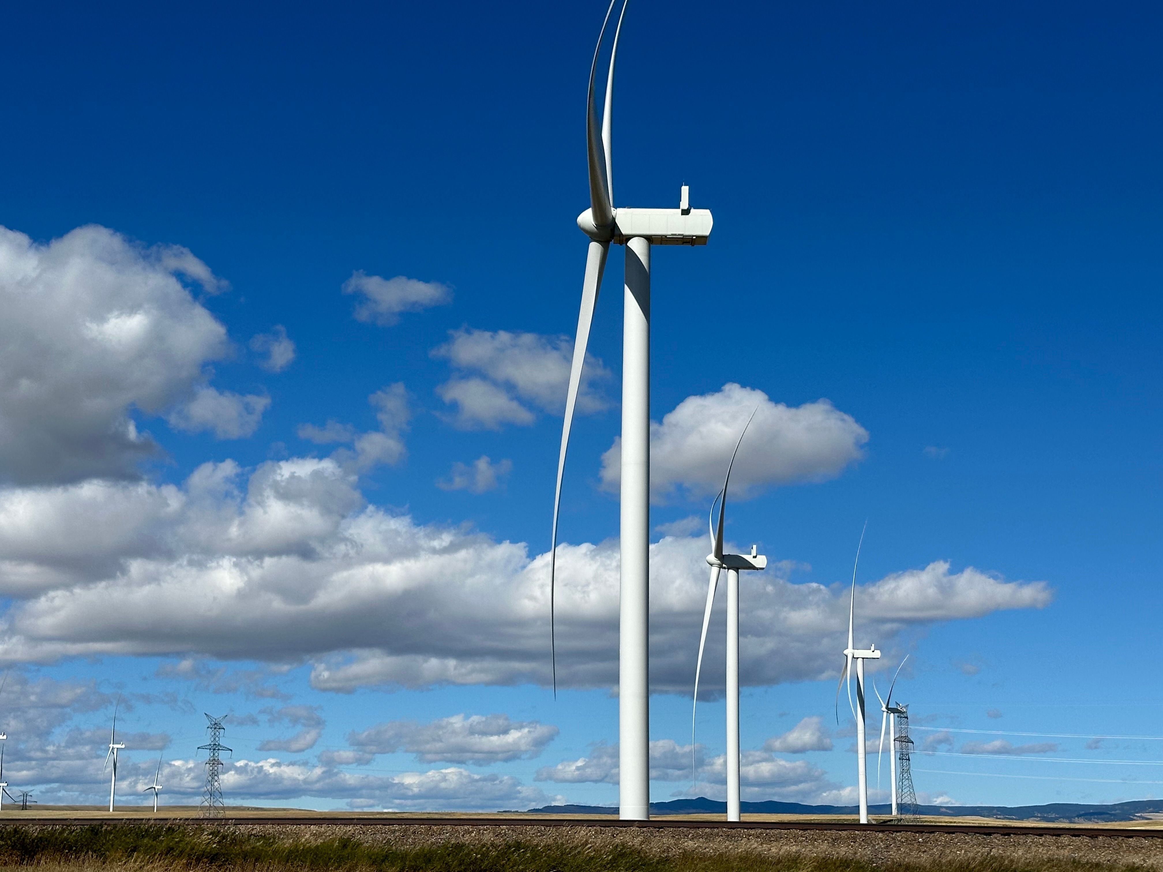 Scenic View of Wind Turbines Under Blue Sky · Free Stock Photo
