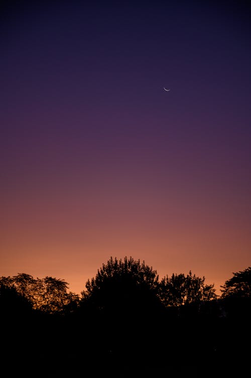 Photo Panoramique Du Ciel à L'aube