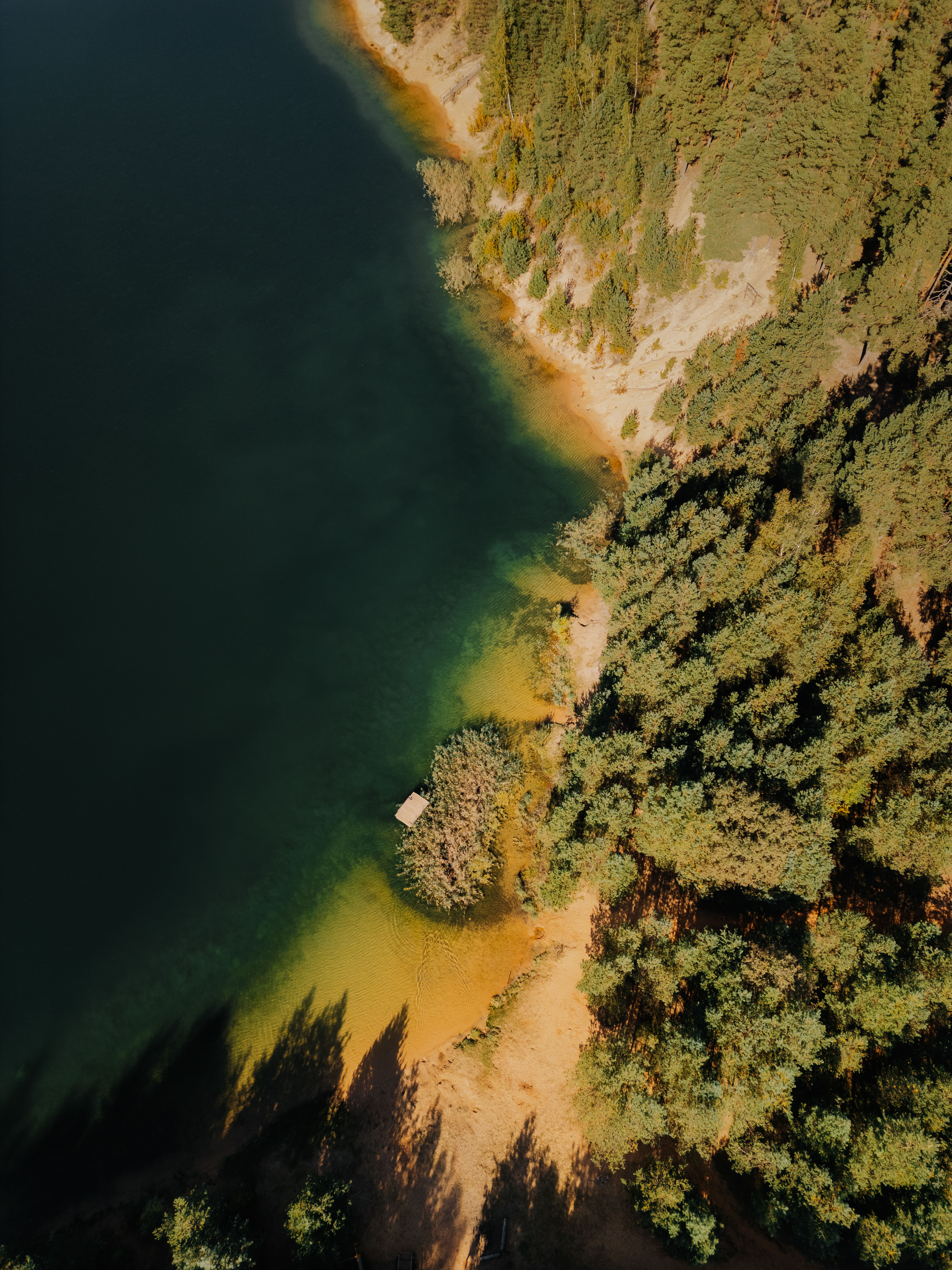 Aerial View of Tranquil Forest Lake in Autumn · Free Stock Photo