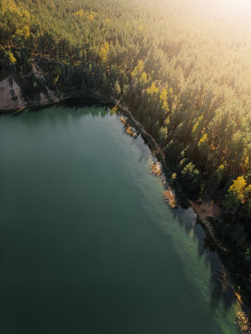Free A stunning aerial photograph of a lush forest bordering a serene lake under the warm glow of sunrise. Stock Photo
