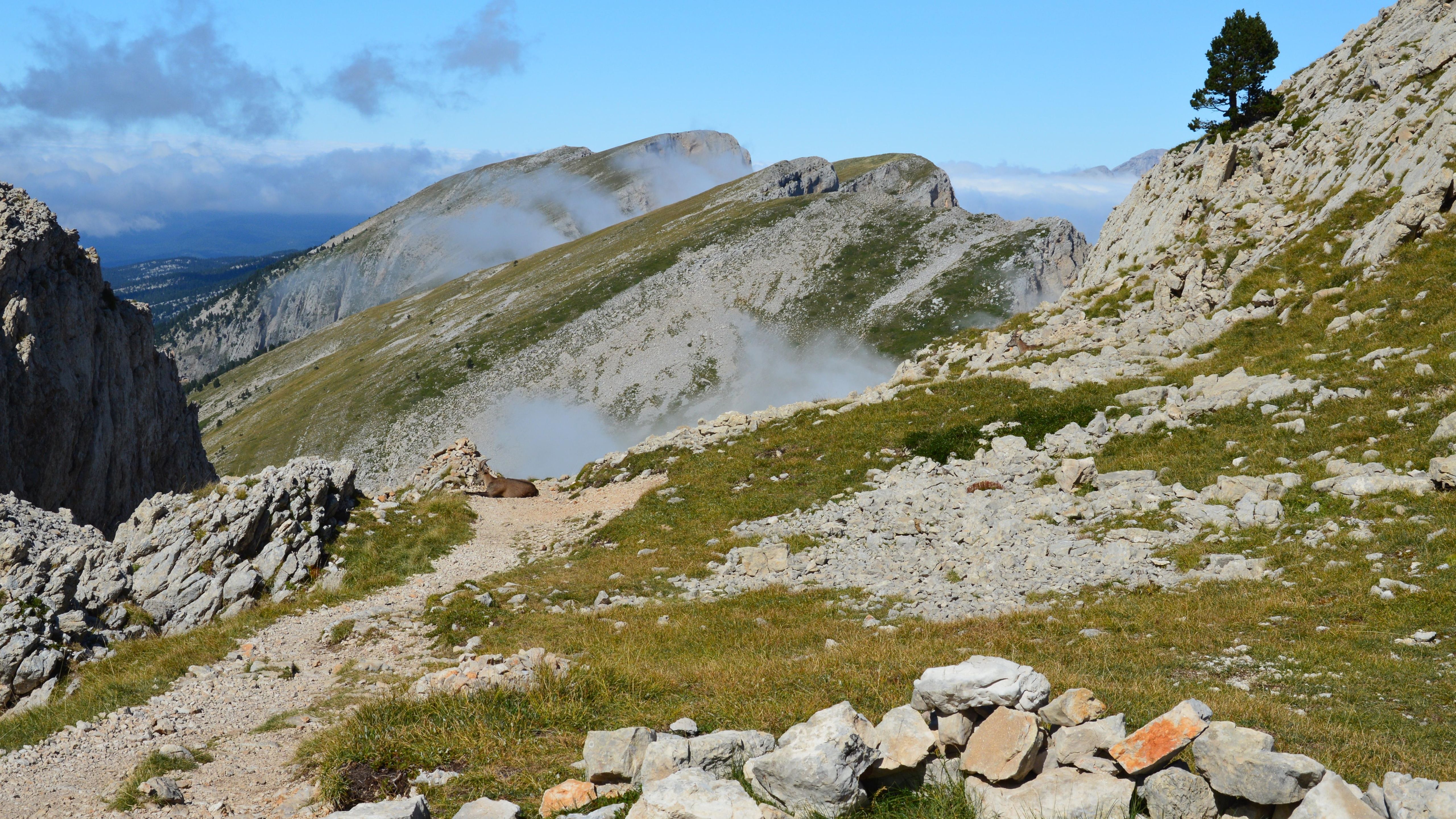 Scenic Mountain Path in Vercors, France · Free Stock Photo