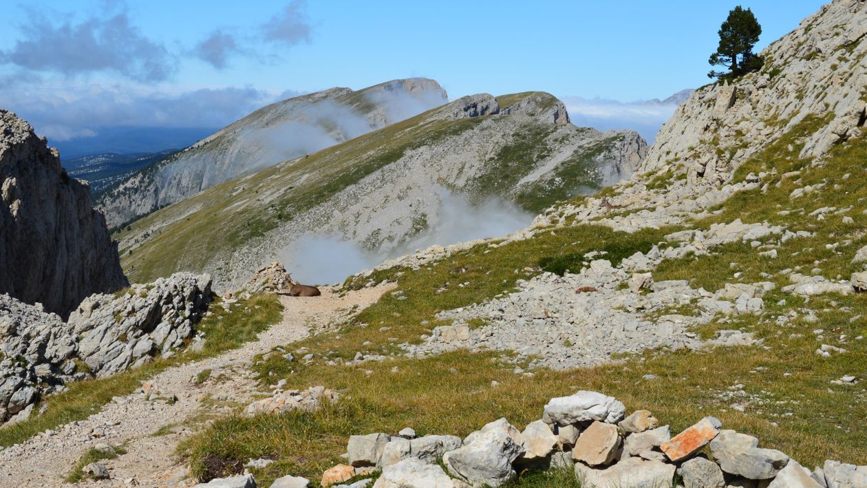 Slaveiu Ridge Remote Path Scenic Mountain Path in Vercors, France · Free Stock Photo