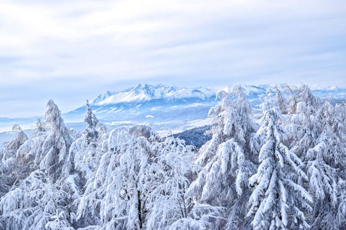 Kostnadsfri bild av äventyr, berg, bergstopp