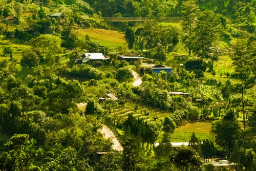 Free Enjoy a vibrant aerial view of the lush greenery and rolling hills in Đà Lạt, Vietnam. Stock Photo