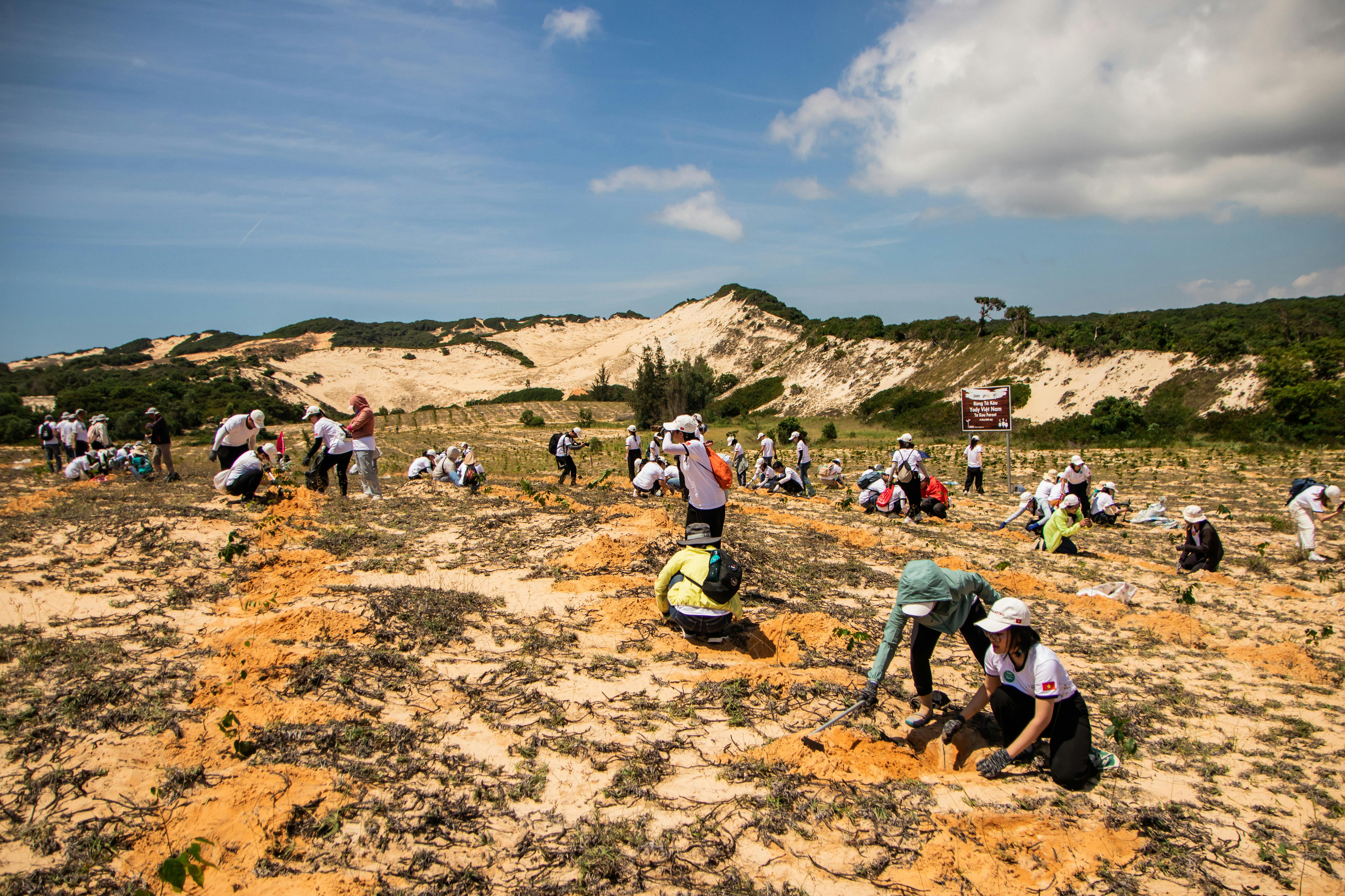 Current Restoration and Preservation Efforts