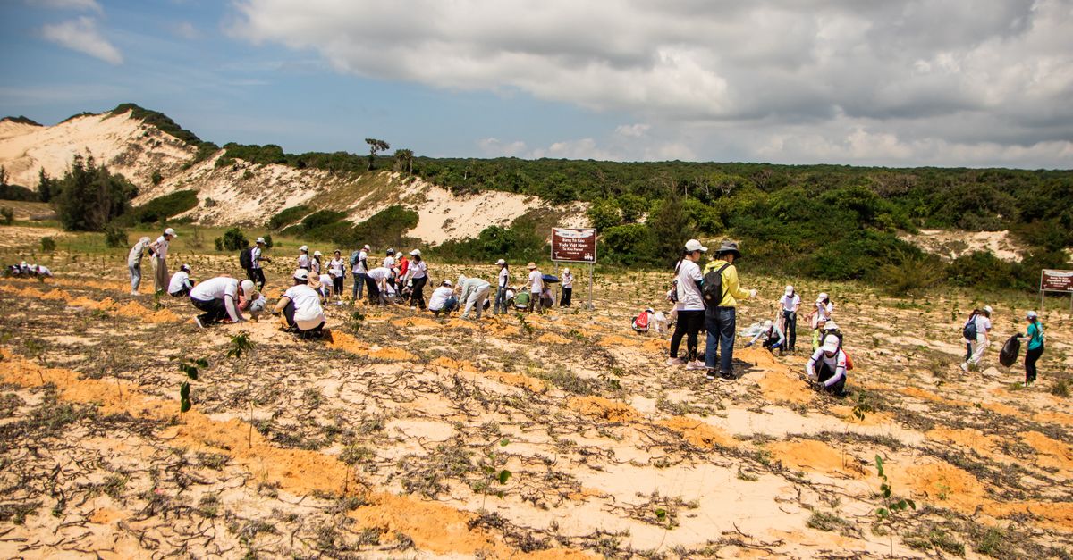 Volunteers from Christ Embassy Ho planting trees in a Volta Region community
