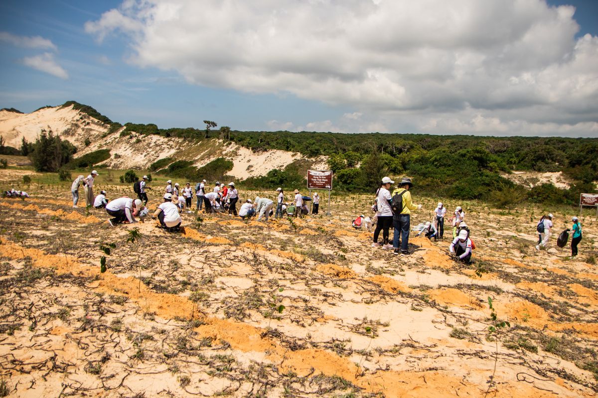 A large group of Creek Steward volunteers planting saplings together on a restored slope
