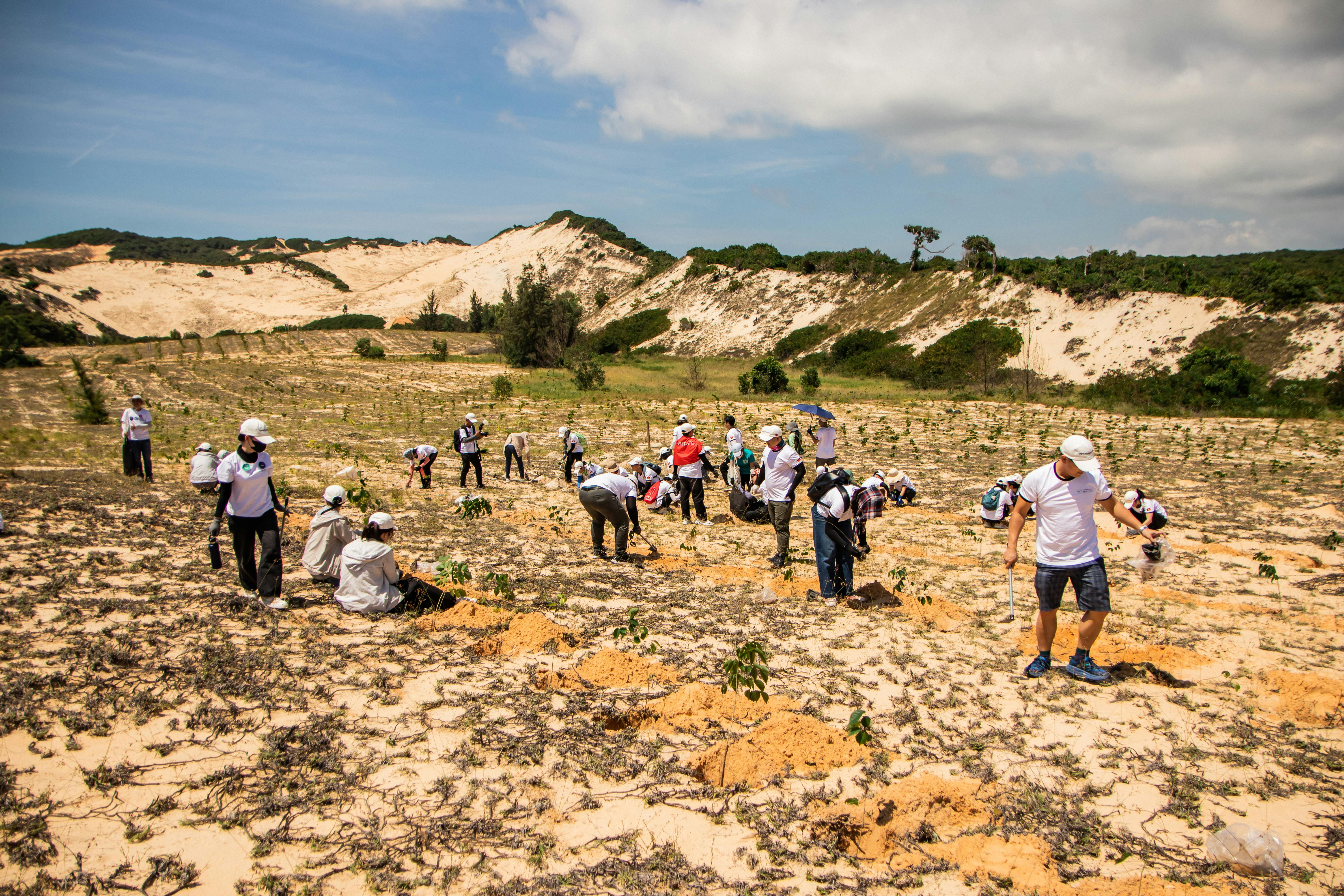 a group of people planting trees together in a rural area of Volta Region