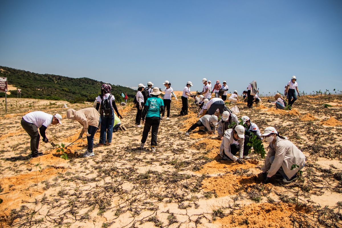 Volunteers planting saplings during a plantation drive