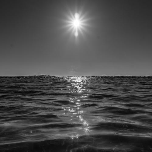 Základová fotografie zdarma na téma moře, voda