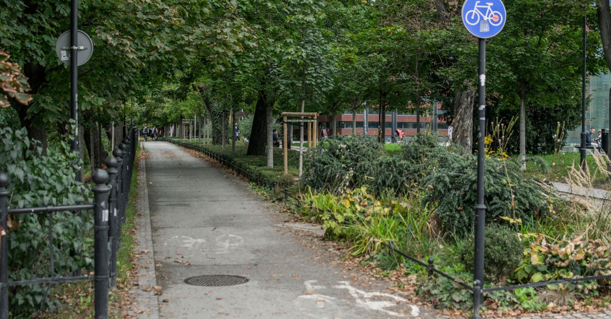 Døgnrapport Nordsjælland: Svindel, vold og hærget skov