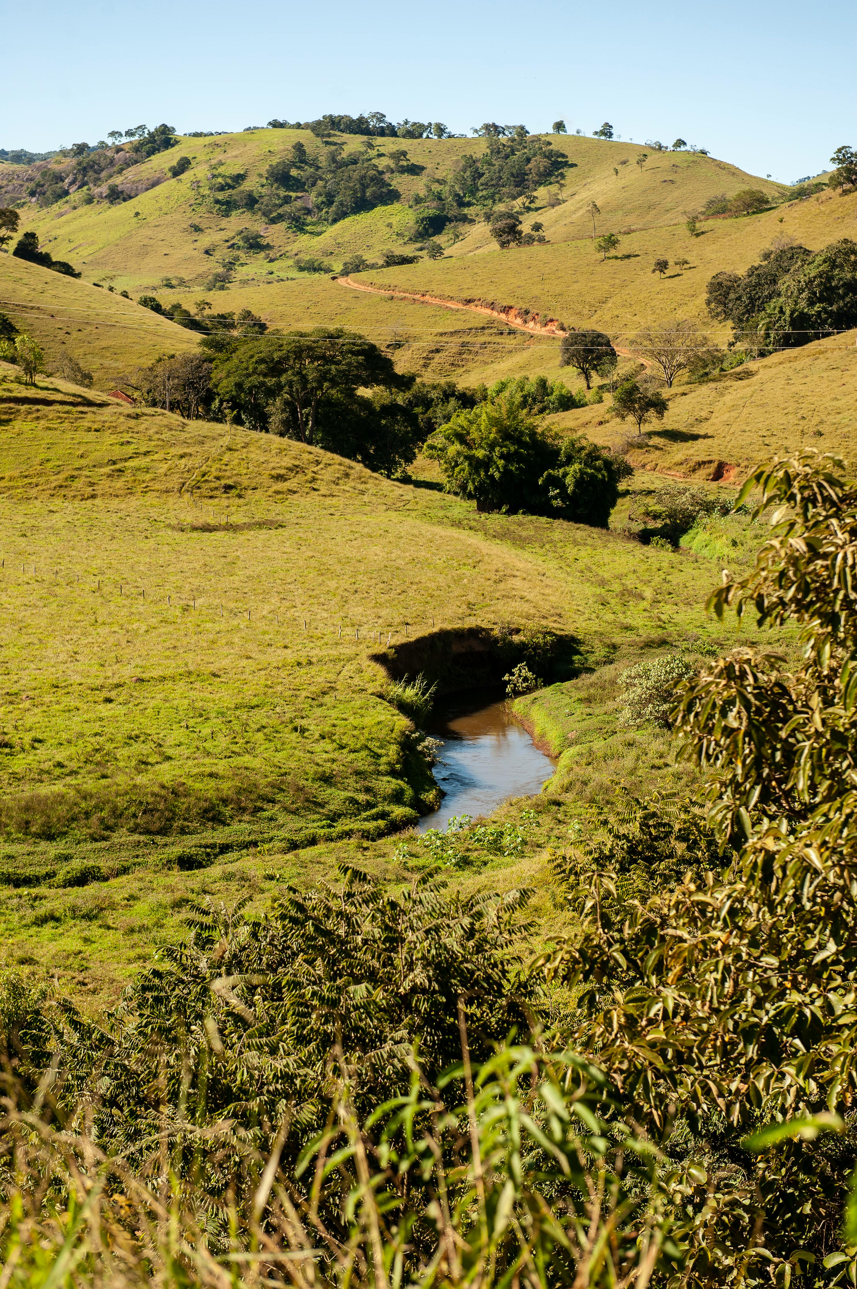 <span>Preparación de concursos de capacidad</span>