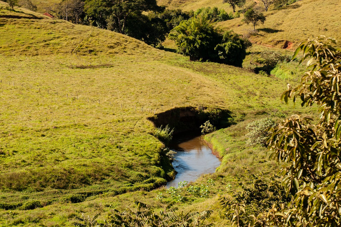 <span>Preparación de concursos de capacidad</span>