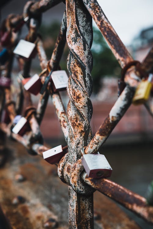 Rusty Love Locks on Bridge in Hamburg, Germany · Free Stock Photo