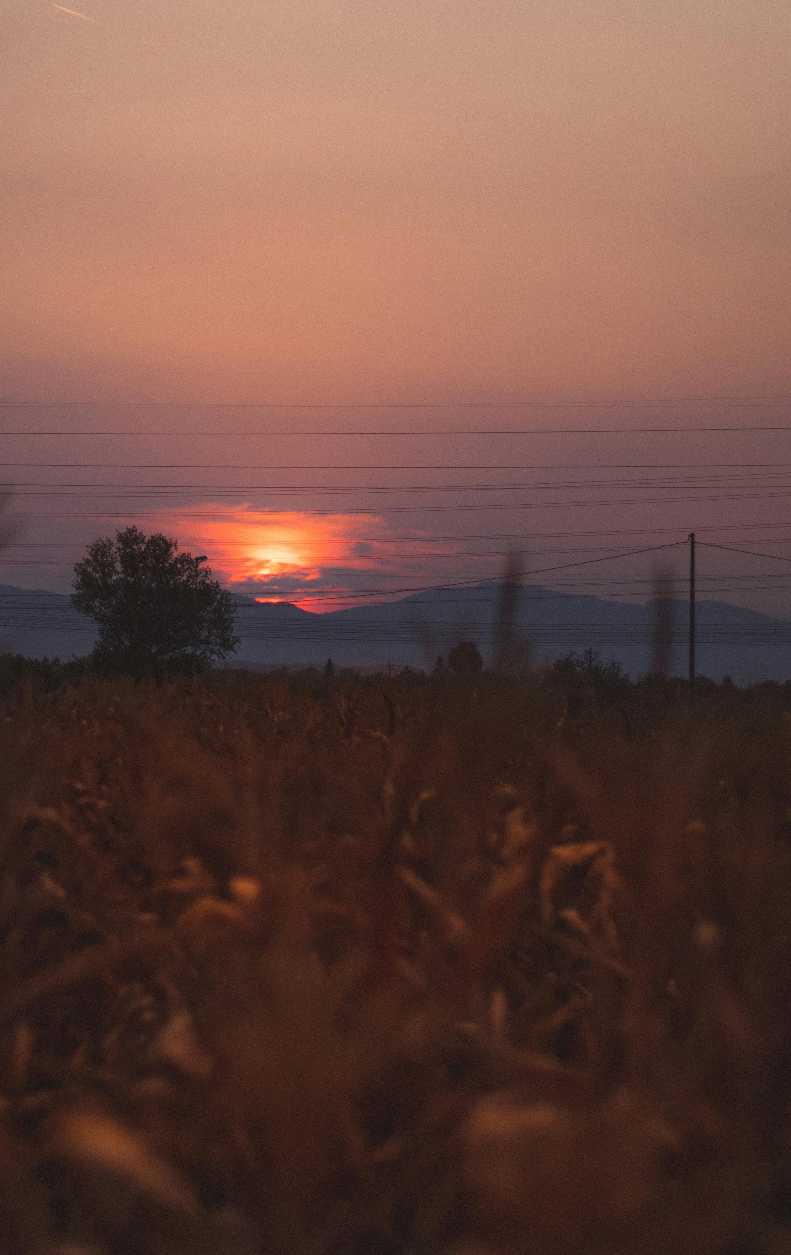 photo of field during dawn