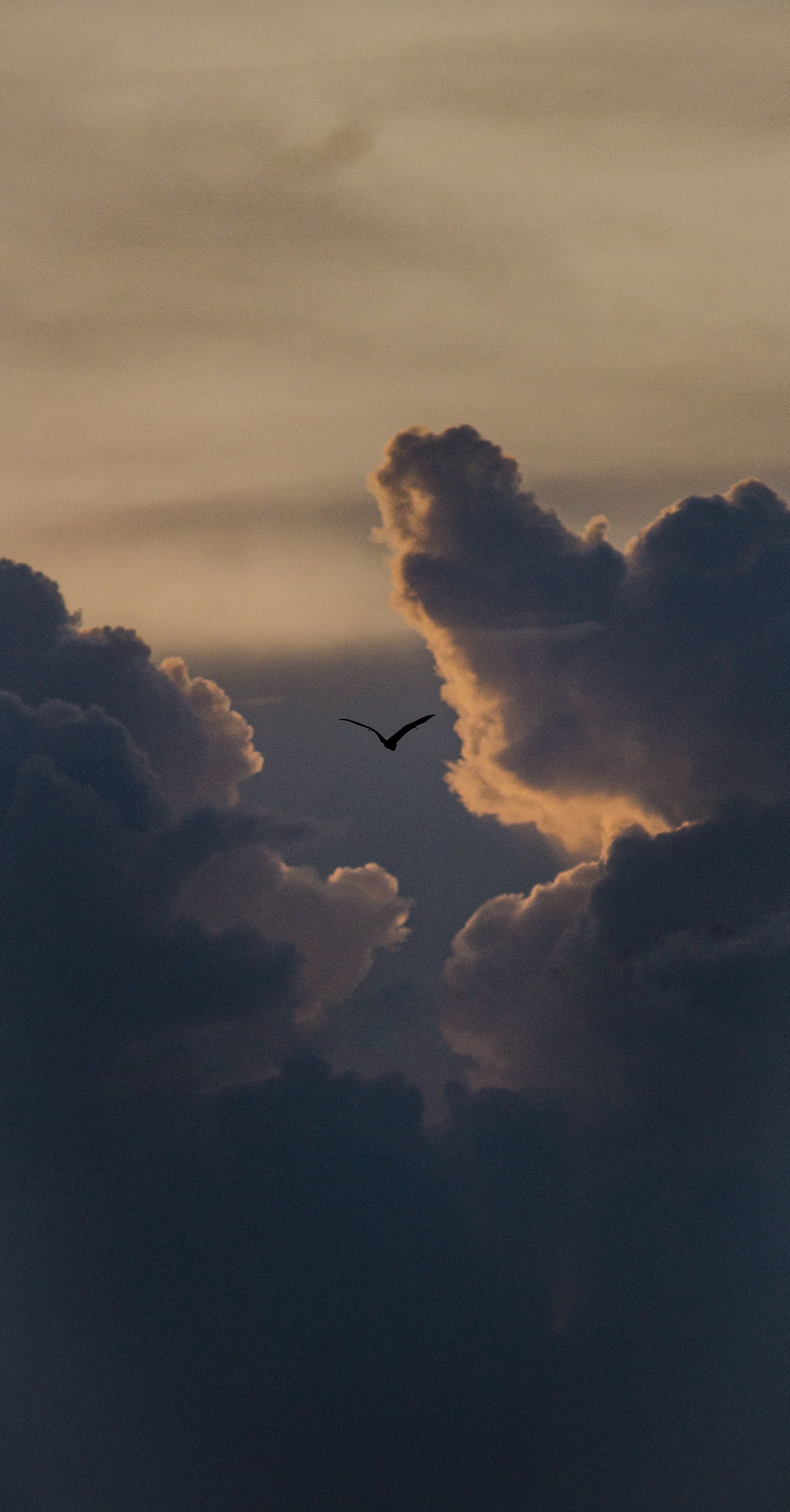 Dramatic Sky Overlay Photos, Download The BEST Free Dramatic Sky ...