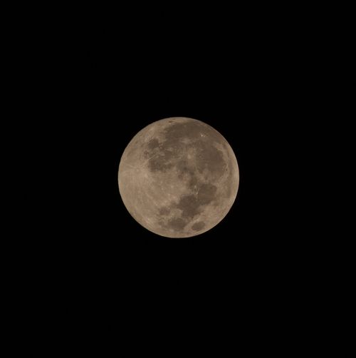 Free Captivating view of the full moon against a dark night sky, showcasing its craters. Stock Photo